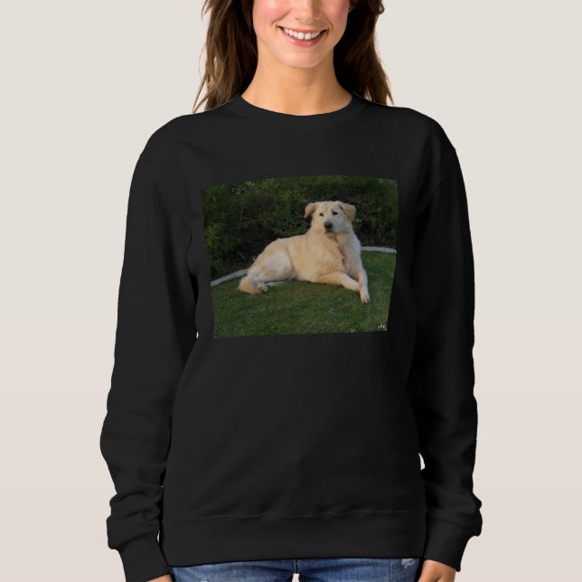 Sudadera Perro Relajante (Anverso)