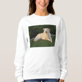 Sudadera Perro Relajante