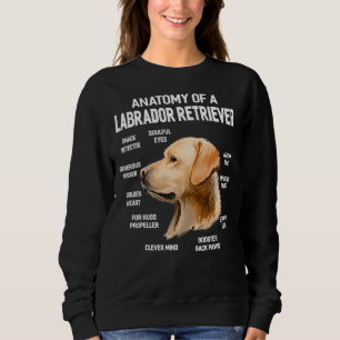 Sudadera Perros 365 Anatomía De Un Perro Recuperador De Lab