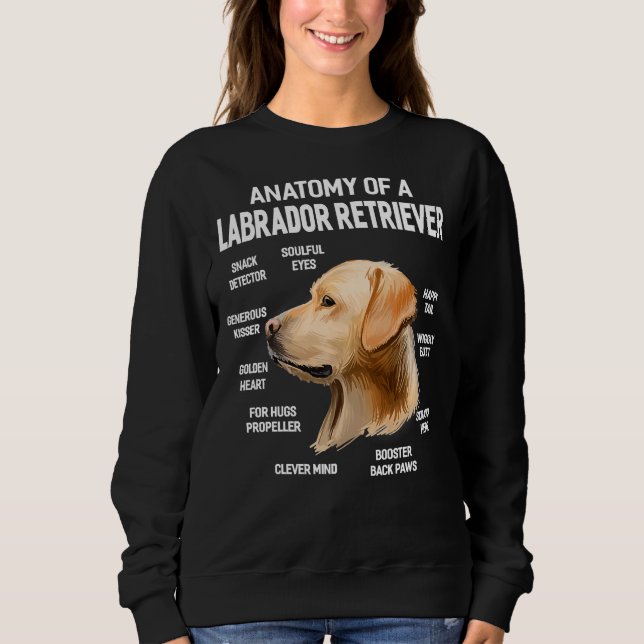 Sudadera Perros 365 Anatomía De Un Perro Recuperador De Lab (Anverso)