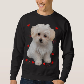 Sudadera Perros amantes del perro de Malta Diseño de cachor