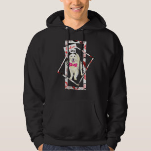 Sudadera Perros de moda recuperadores de Labrador