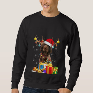 Sudadera Perros de Sombrero Sombrero de Perro de España par