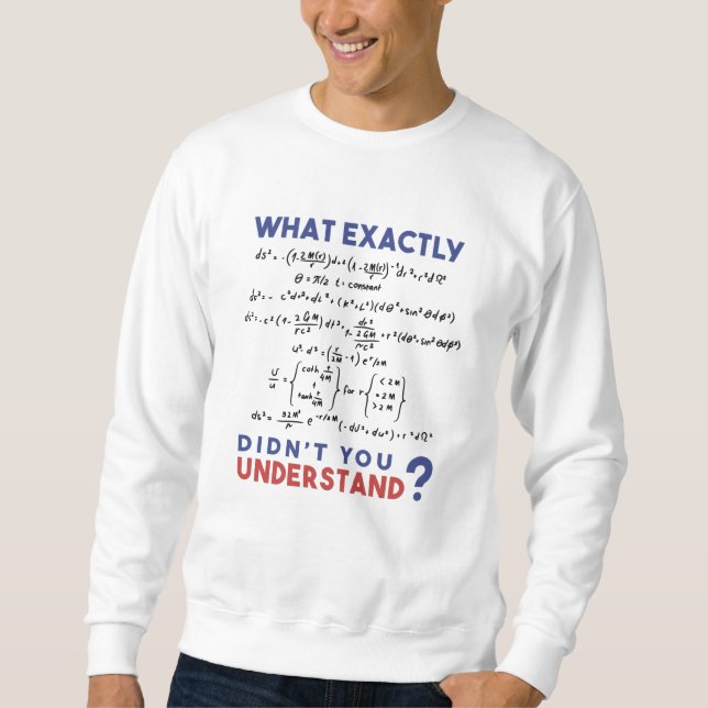 Sudadera Physics formula Joke (Anverso)