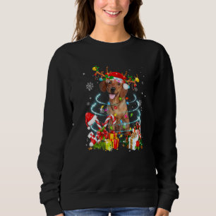 Sudadera Pijama de luces de árbol de Navidad reno Dachshund