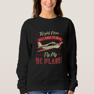 Sudadera Piloto piloto de aviones de avión RC vuela mis avi