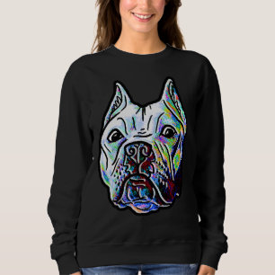 Sudadera Pintado Pitbull 2