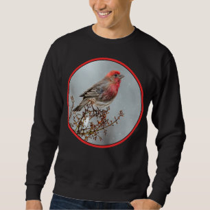 Sudadera Pinzón Mexicano en Nieve - Fotografía Original