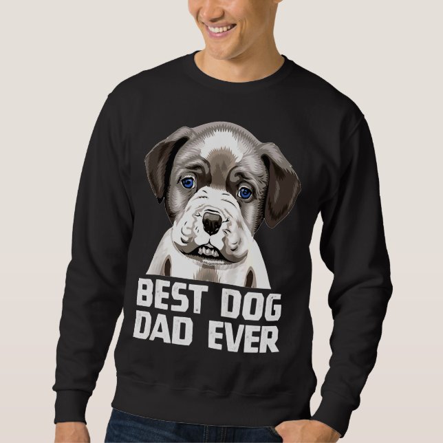 Sudadera Pit Bull Dad Mejor Padre Pitbull Raglan (Anverso)