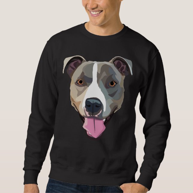 Sudadera Pitbull 210 (Anverso)