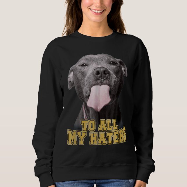 Sudadera Pitbull A Todos Mis Odiosos Perro Pitbull (Anverso)