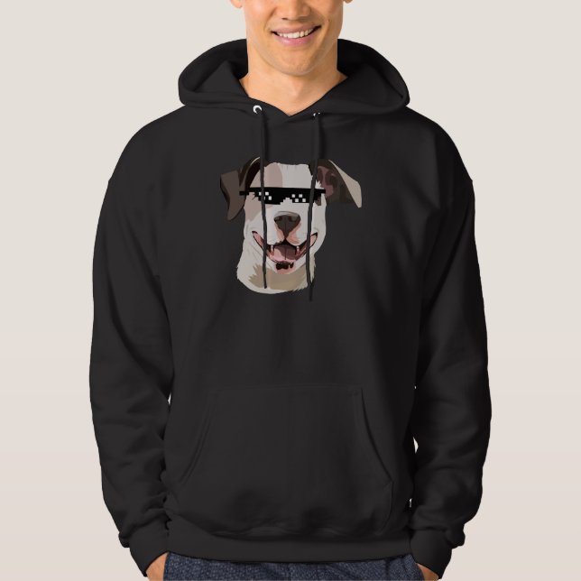 Sudadera Pitbull Con Gafas De Sol 385 (Anverso)