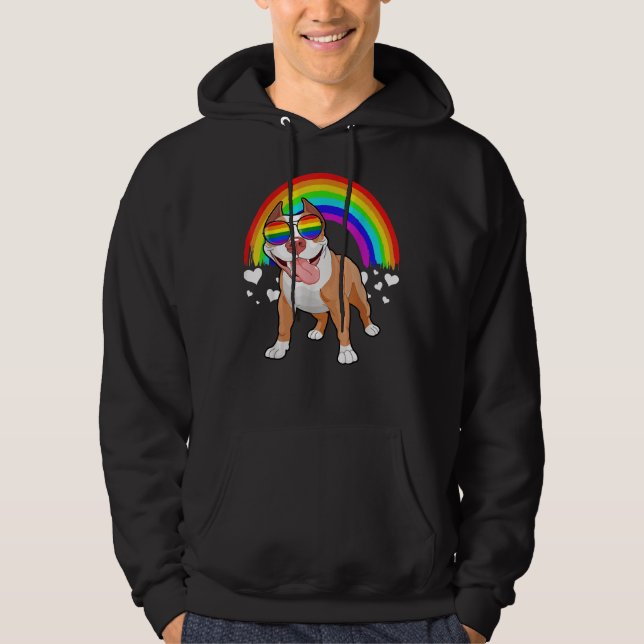 Sudadera Pitbull Con Gafas De Sol Arcoiris Orgullo Gay Lgbt (Anverso)