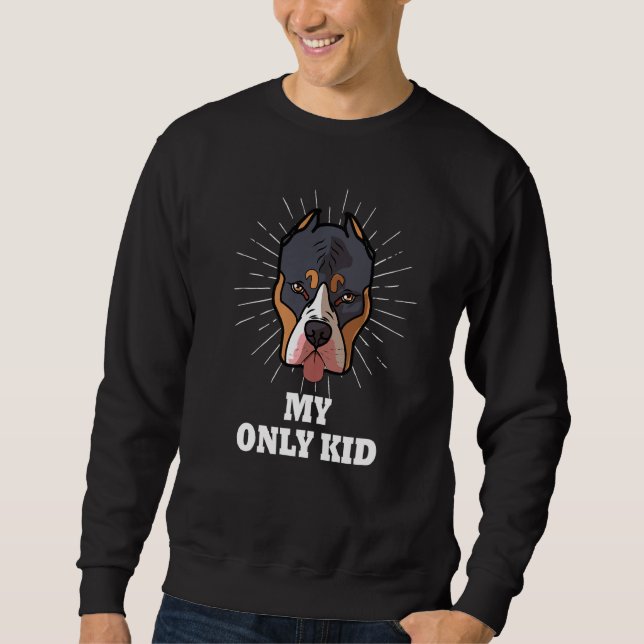 Sudadera Pitbull Es Mi Único Niño Pittie Pitbull (Anverso)