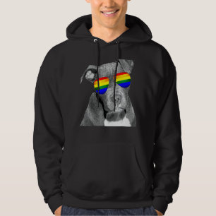 Sudadera Pitbull Gay Pride Ropa De Perro Lgbt Bandera Arcoi