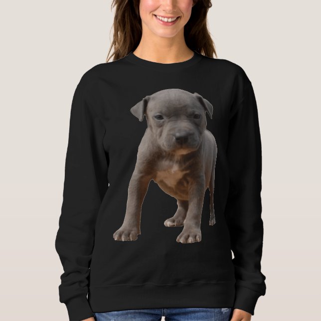 Sudadera Pitbull Puppy (Anverso)