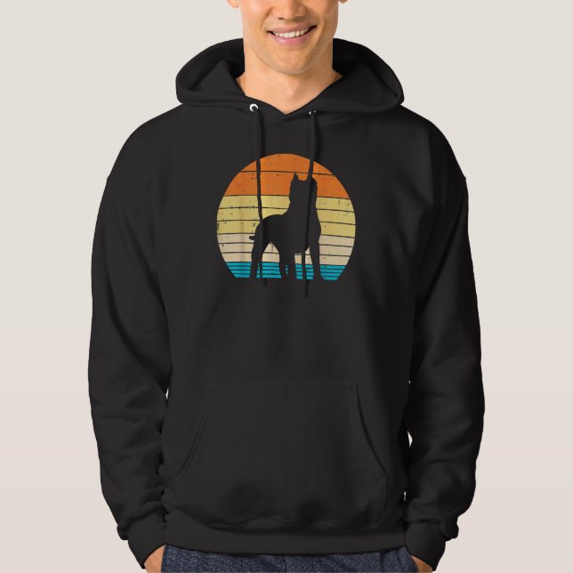 Sudadera Pitbull Silhouette Sunset Retro Pitties Perro Love (Anverso)