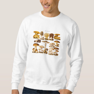 Sudadera Plantilla de las setas de la variedad de la seta