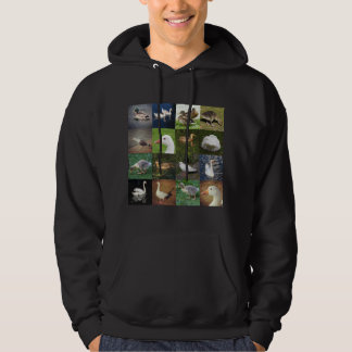Sudadera Plaza de la fotografía - Aves