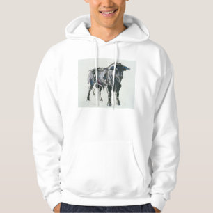 Sudadera Plaza de Toros de Miajadas 1998