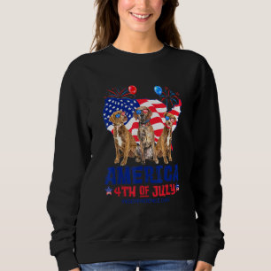 Sudadera Plott Hound América 4 de julio Día de la Independe