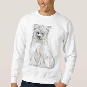Sudadera Polvo en reposo chino