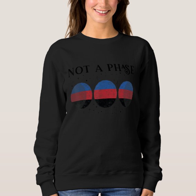Sudadera Polyamory Pride Flag Not A Phase Polyamorous 2 (Anverso)