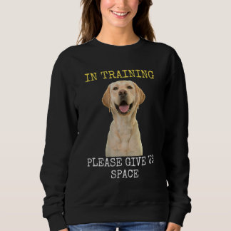 Sudadera Por Favor, Danos Formación En Espacios 1
