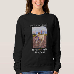 Sudadera Por qué tengo muchos amigos Meme de Labrador Retri