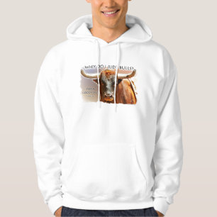 Sudadera Porqué toros del paseo