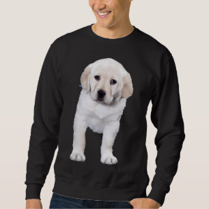 Sudadera Posando Labrador Puppy