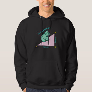 Sudadera profesor de matemáticas matemático hipotenusa