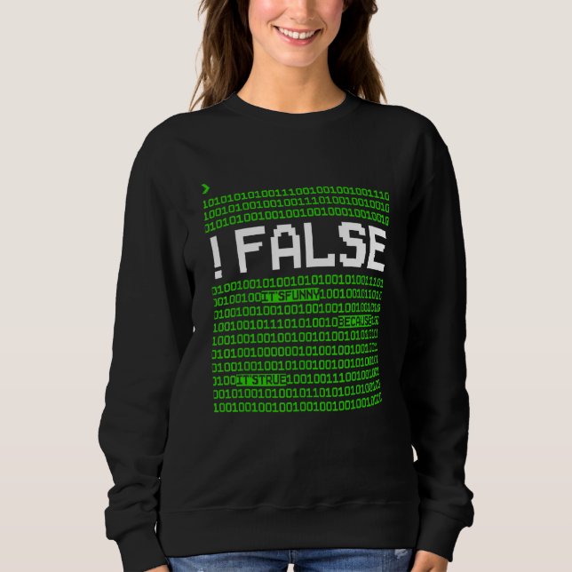 Sudadera Programador Informático Codificador Falso Es porqu (Anverso)
