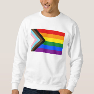 Sudadera Progress Pride Flag LGBTQ+