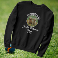 Promocionado A Perro Mamá Estableció La Foto De Pe