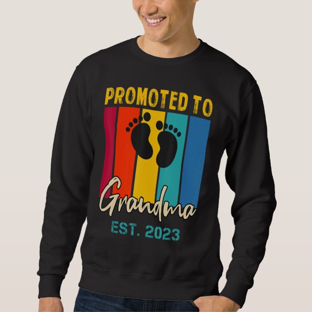 Sudadera Promoted To Grandma 2023 Pregnancy Baby Shower Fam (Anverso)