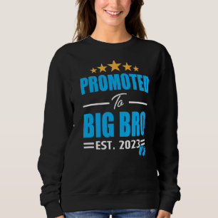 Sudadera Promovido a Gran Hermano, voy a ser Gran Hermano
