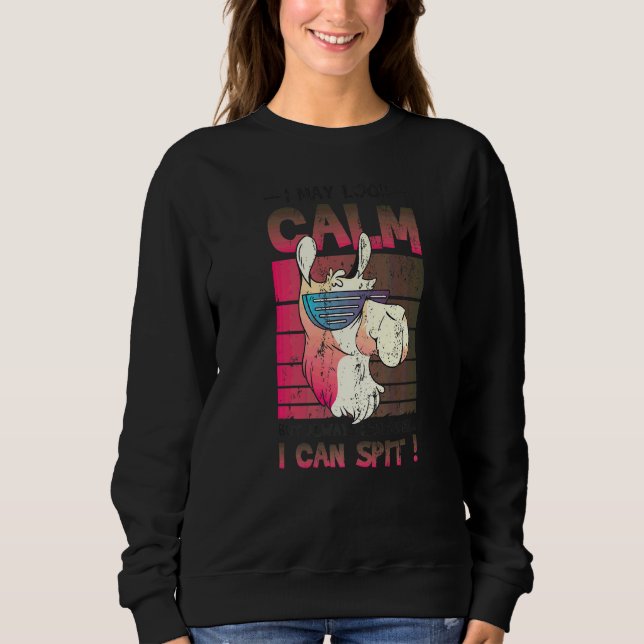 Sudadera Puede Parecer Tranquilo Pero Puedo Escupirle Llama (Anverso)