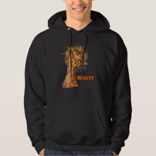 Sudadera Qué avestruz    Pájaro descarado