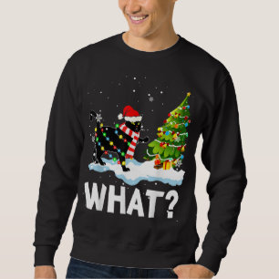 Sudadera Qué curioso gato de Santa Cat apretando navidad na
