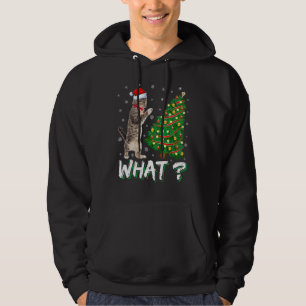Sudadera Qué Gato Gracioso Presionando Árbol De Navidad Por