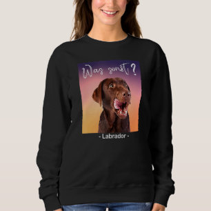 Sudadera Qué más Labrador Perros Hermosos