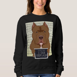 Sudadera Querido Papá, Puedo Explicar A Pitbull Dad I Pitbu