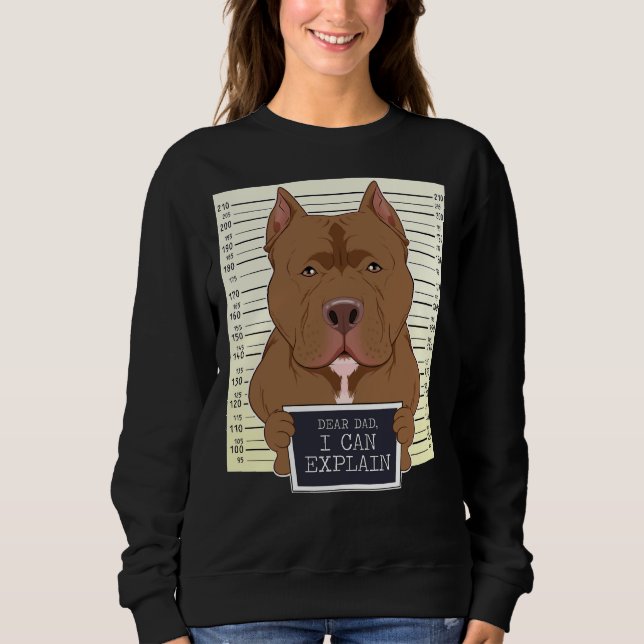 Sudadera Querido Papá, Puedo Explicar A Pitbull Dad I Pitbu (Anverso)