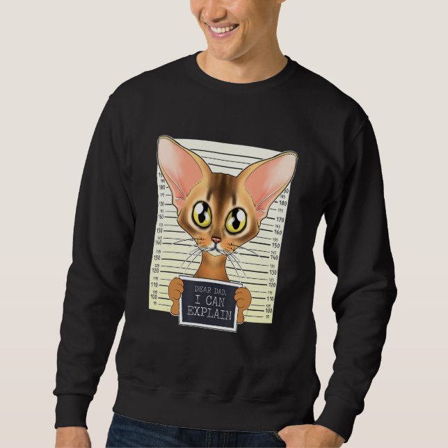 Sudadera Querido Papá, Puedo Explicar Que Soy Un Gato Abysi (Anverso)