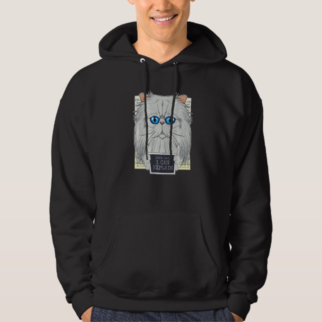 Sudadera Querido papá, puedo explicarle que soy un gato per (Anverso)