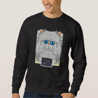 Sudadera Querido papá, puedo explicarle que soy un gato per