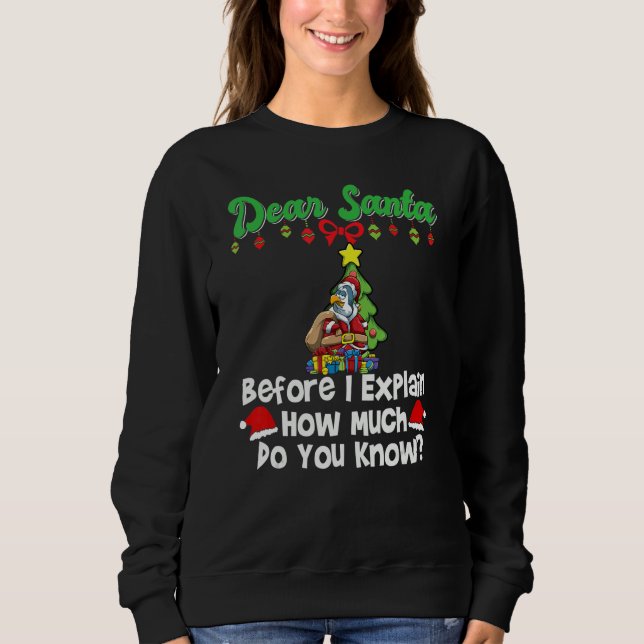 Sudadera Querido Santa Antes de Explicar Cuánto Sabes_5 (Anverso)
