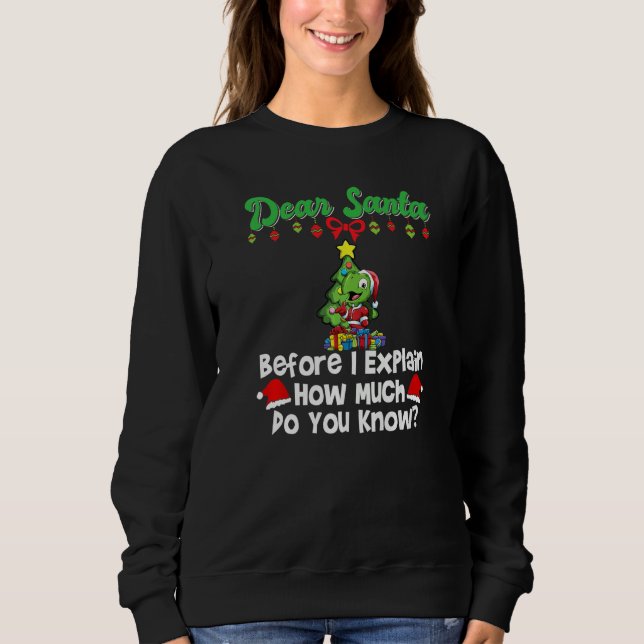 Sudadera Querido Santa Antes de Explicar Cuánto Sabes P (Anverso)