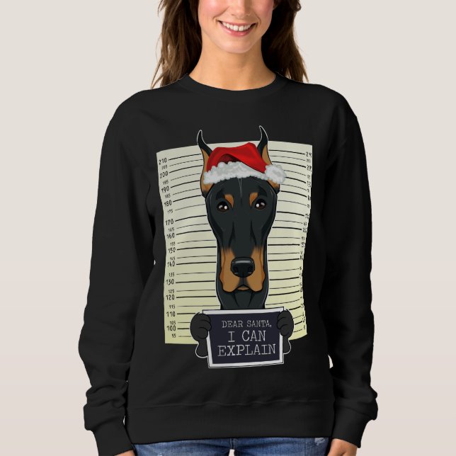 Sudadera Querido Santa I puedo explicar a los Navidades Dob (Anverso)